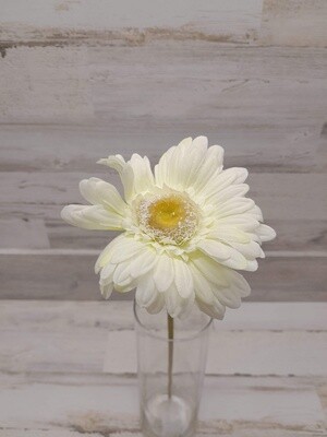 23&quot; Gerbera Daisy Stem White