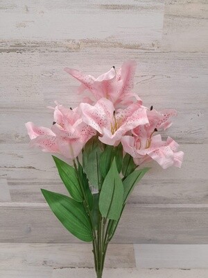 20&quot; Lily Bush x7 Pink