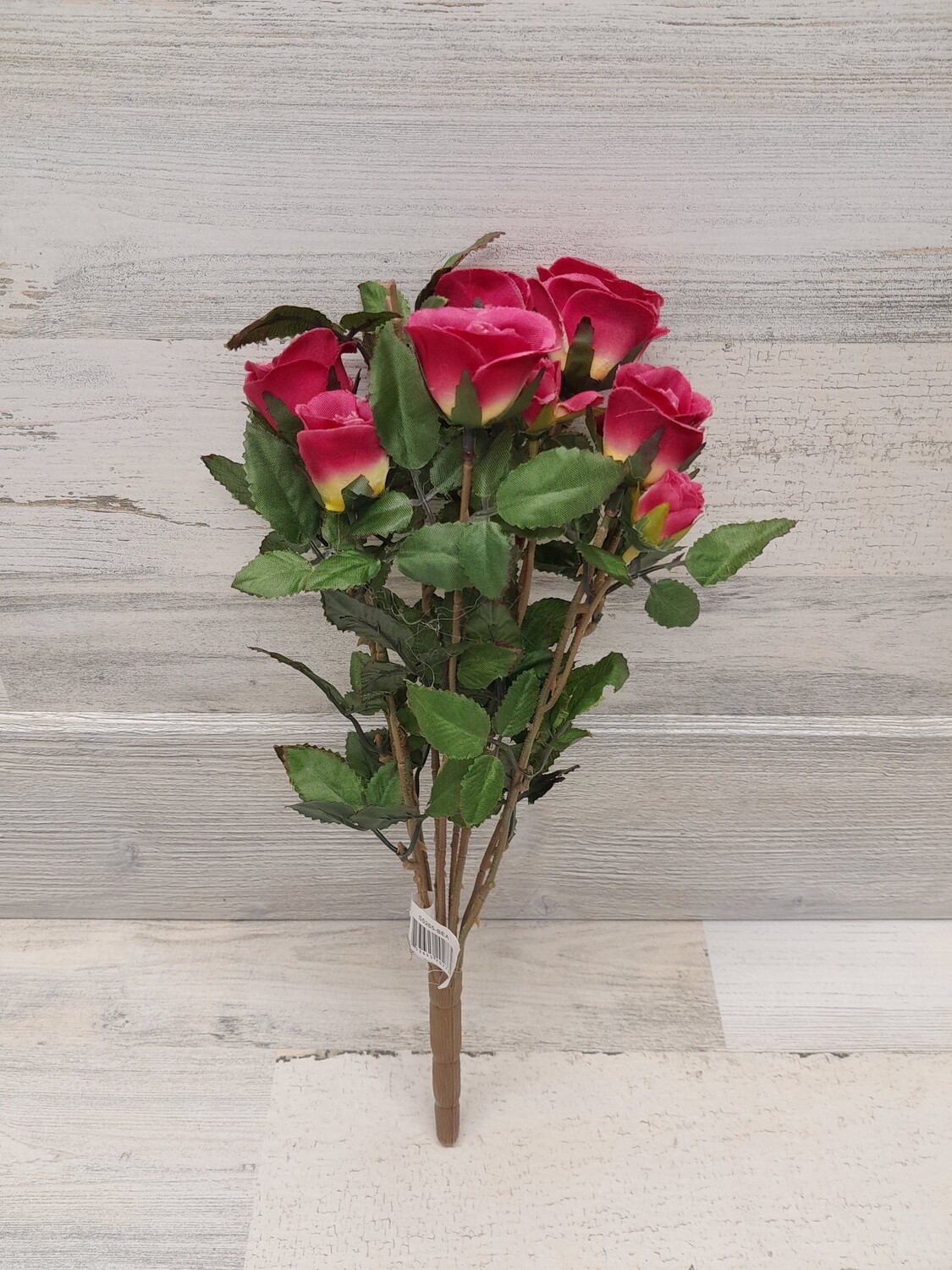 15&quot; Mini Rose Bush x11 Beauty