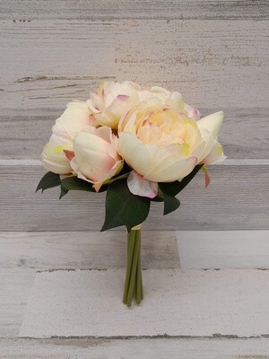 11.5&quot; Peony Bundle x7 Cream/Pink