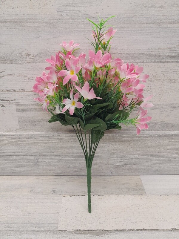 17&quot; Mini Day Lily Bush x10 Pink