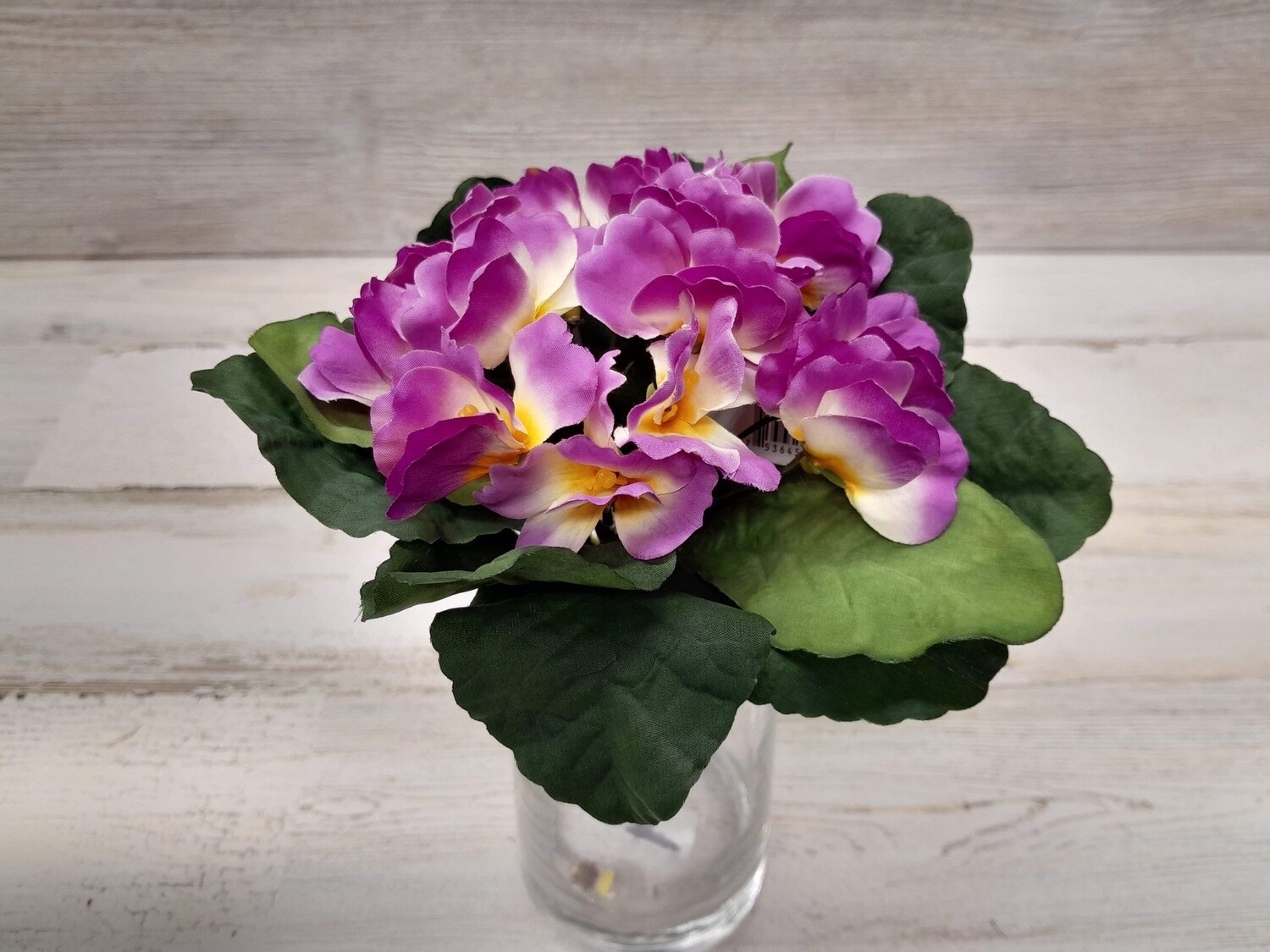 7&quot; Primula Bouquet Mauve