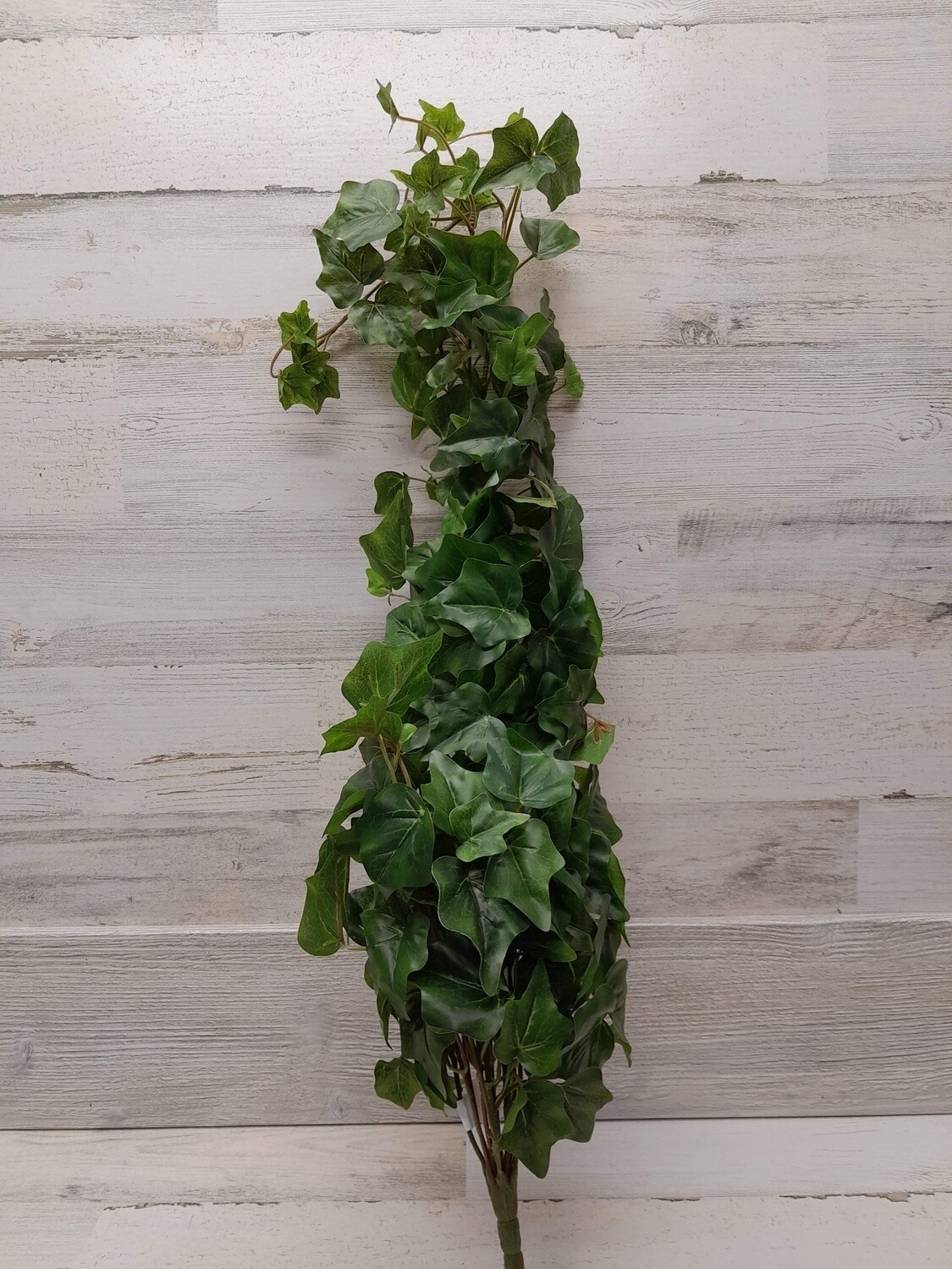 34&quot; English Ivy Hanging Bush Green