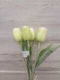 17&quot; Tulip Bundle x5 Light Green