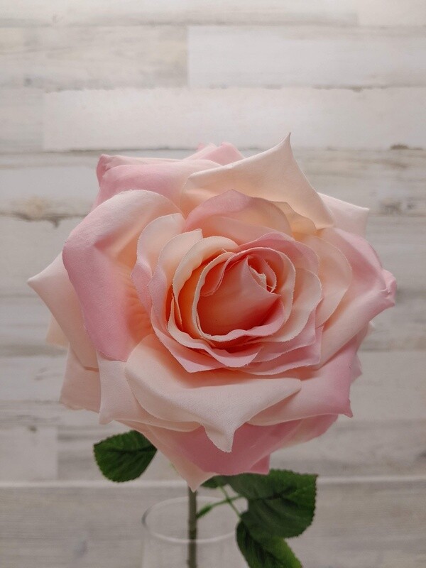 20&quot; Open Rose Stem w/6&quot; Head Light Pink