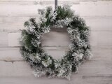 18&quot; Flocked Rocky Mountain Pine Wreath