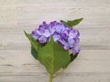 18&quot; Hydrangea Stem Purple/Blue