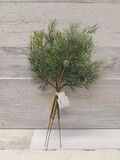 13&quot; Juniper Pick Bundle x3