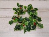 4.5&quot; Holly Candle Ring Variegated