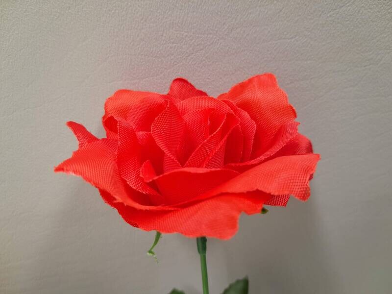 12&quot; Rose Bush x7 Red