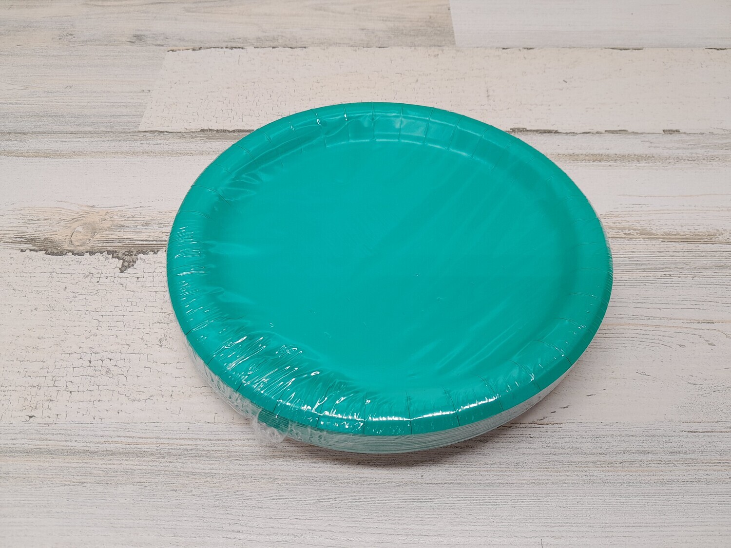 24pc 9&quot; Paper Plate Lagoon Teal