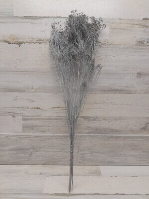 24&quot; Dried Sparkle Broom Bloom Silver