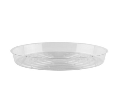 10&quot; Plastic Plant Saucer Clear