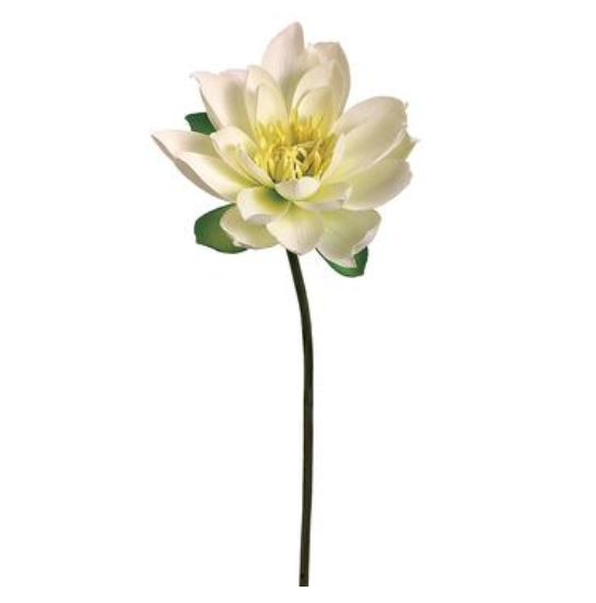 27&quot; Lotus Bloom Spray Cream/Yellow