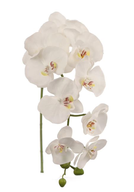 33.5&quot; Phalaenopsis Stem White