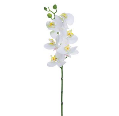 30&quot; Phalaenopsis Stem White