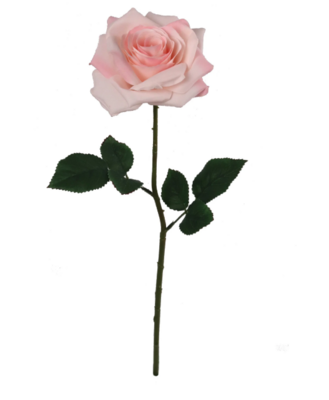 20&quot; Open Rose Stem Light Pink