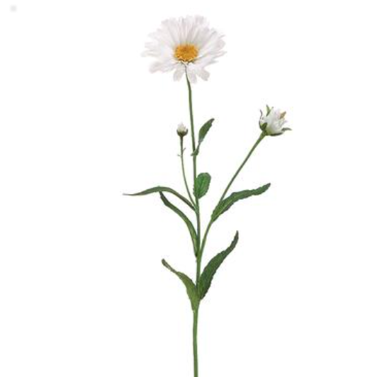 27&quot; Shasta Daisy Spray w/Bud White