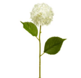 23&quot; Hydrangea Stem w/4&quot; Head Cream