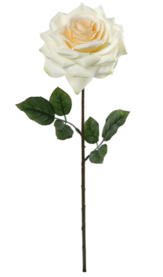 20&quot; Open Rose Stem w/6&quot; Head Champagne