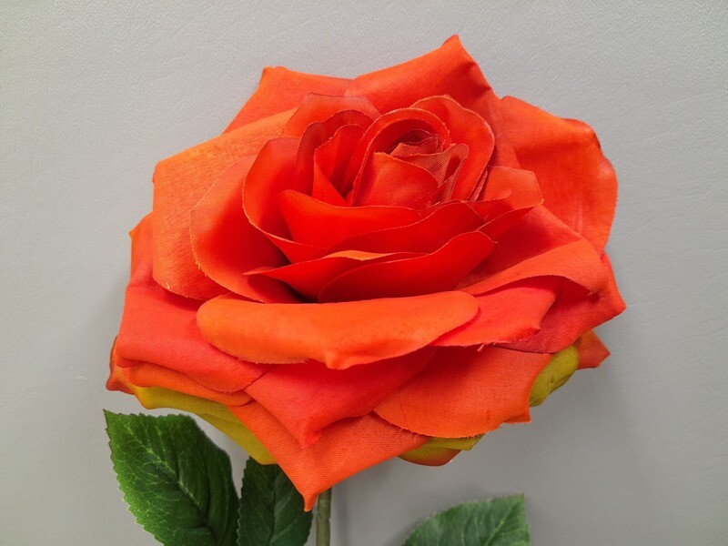 20&quot; Open Rose Stem w/6&quot; Head Orange