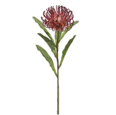 26&quot; Protea Spray w/4&quot; Head Burgundy