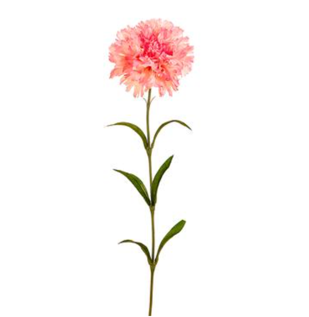 25&quot; Carnation Spray Pink