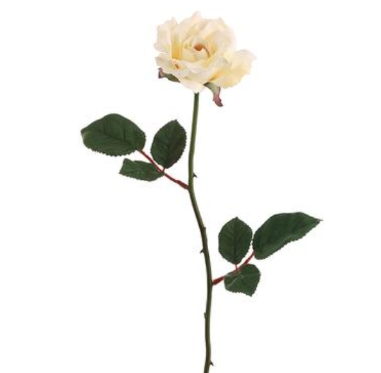 23&quot; Rose Stem w/3.5&quot; Head Vanilla