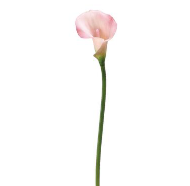 21&quot; Calla Lily Stem Pink