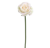 19&quot; Rose Stem Cream/Blush