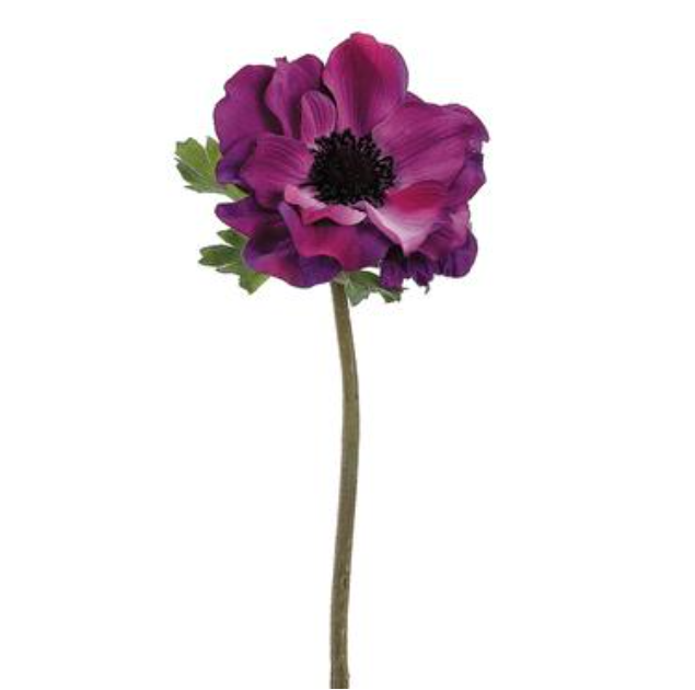 15&quot; Anemone Stem Eggplant