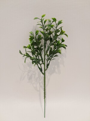 8&quot; Boxwood Pick Two Toned Green