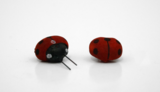 36pc 3/4&quot; Lady Bugs Red/Black