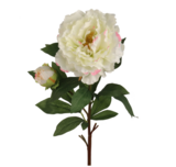 30&quot; Peony Spray w/Bud Cream/Pink