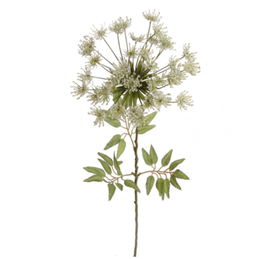 30&quot; Queen Anne&#39;s Lace Spray White