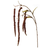 32&quot; Hanging Amaranthus Spray Wine