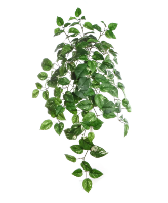 33&quot; Pothos Ivy Leaf Bush w/117 Leaves Green