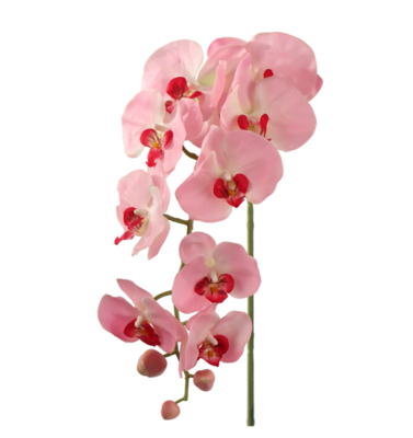 33.5&quot; Phalaenopsis Stem Pink