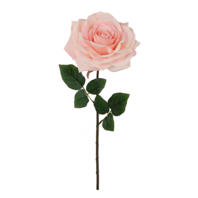 20&quot; Open Rose Stem w/6&quot; Head Light Pink