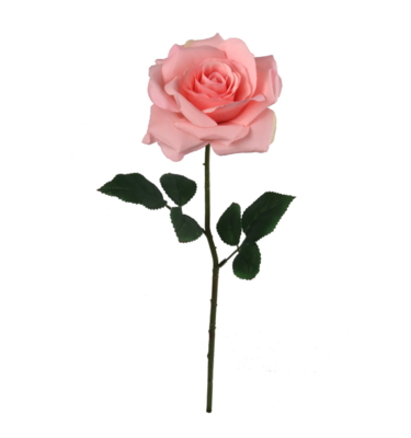 20&quot; Open Rose Stem  Pink