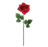 20&quot; Open Rose Stem  Red