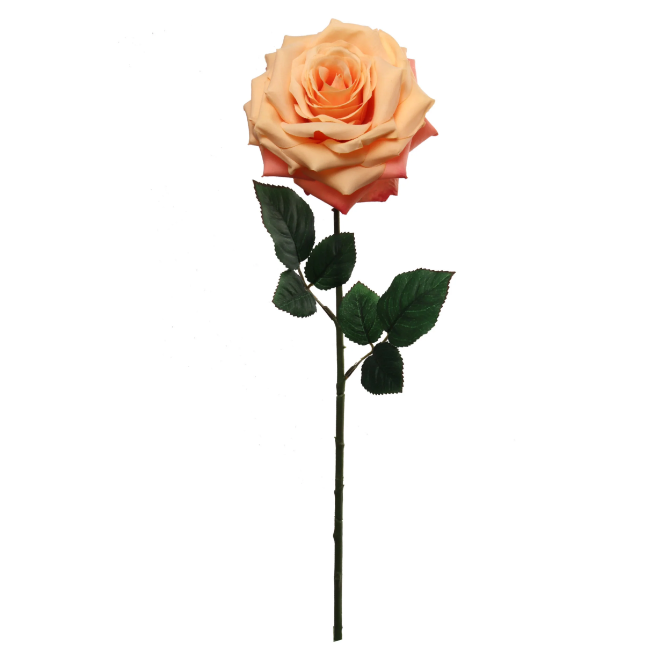 20&quot; Open Rose Stem w/6&quot; Head Apricot