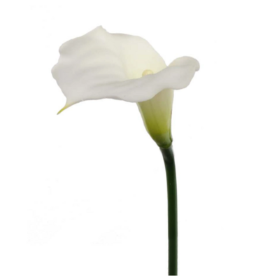 21&quot; Real Touch Calla Lily Stem Cream