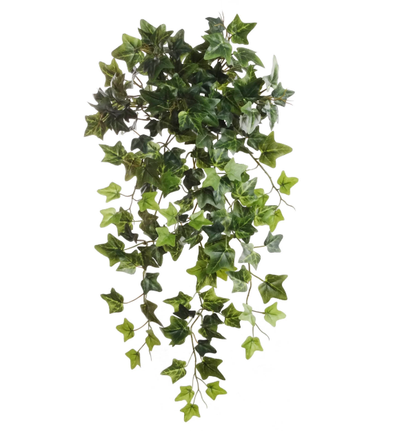 19&quot; Hanging English Ivy Bush w/204 Leaves Green