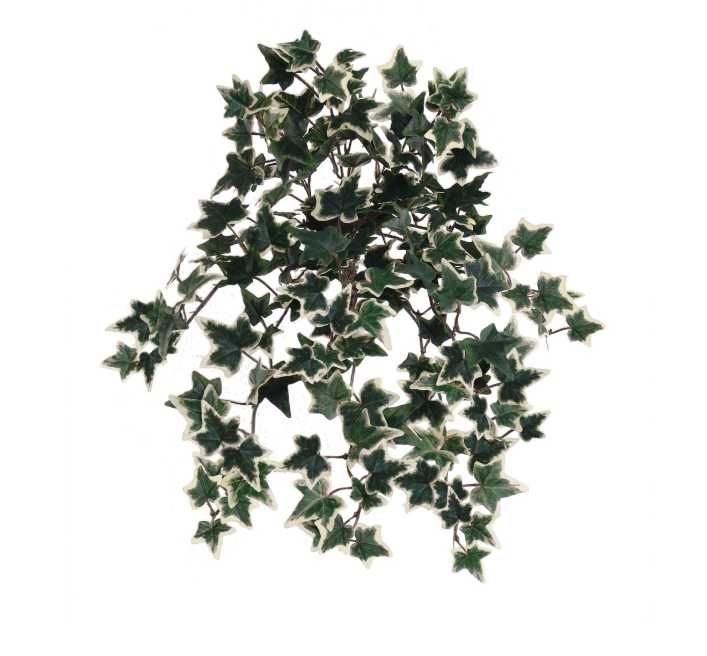 13&quot; Hanging Mini English Ivy Bush w/176 Leaves Green/White