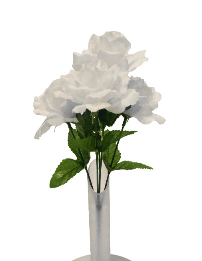 13&quot; Rose Bush x5 White