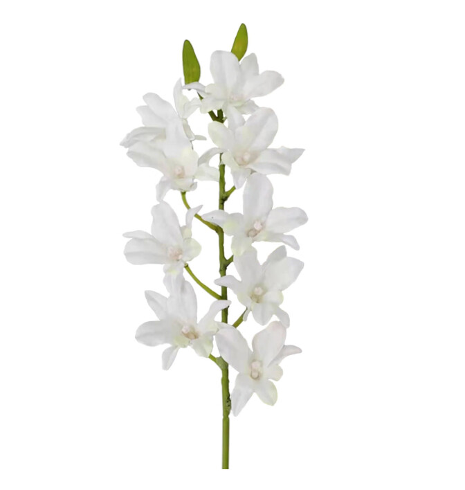 24&quot; Dendrobium Spray White