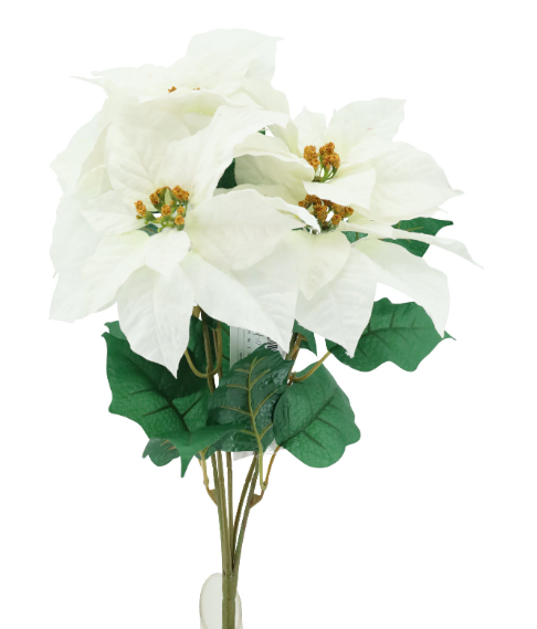 19&quot; Micropeach Poinsettia Bush x5 Cream