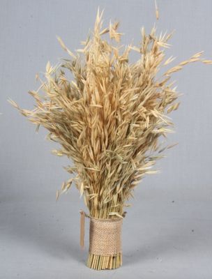 20&quot; 120grm Dried Grass Bloom