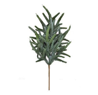 18&quot; Frosted Norfolk Pine Bush Frosted Green